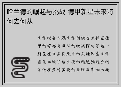 哈兰德的崛起与挑战 德甲新星未来将何去何从