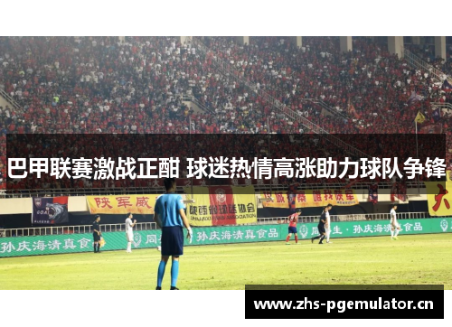 巴甲联赛激战正酣 球迷热情高涨助力球队争锋