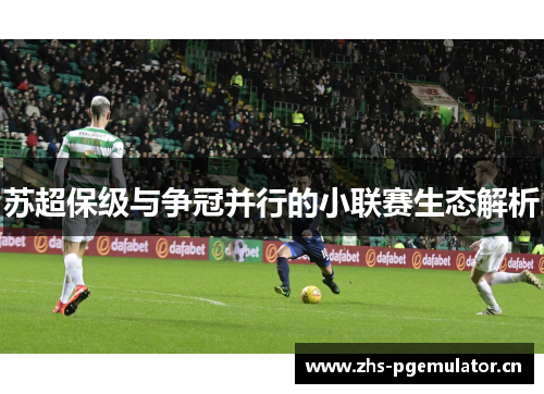 苏超保级与争冠并行的小联赛生态解析